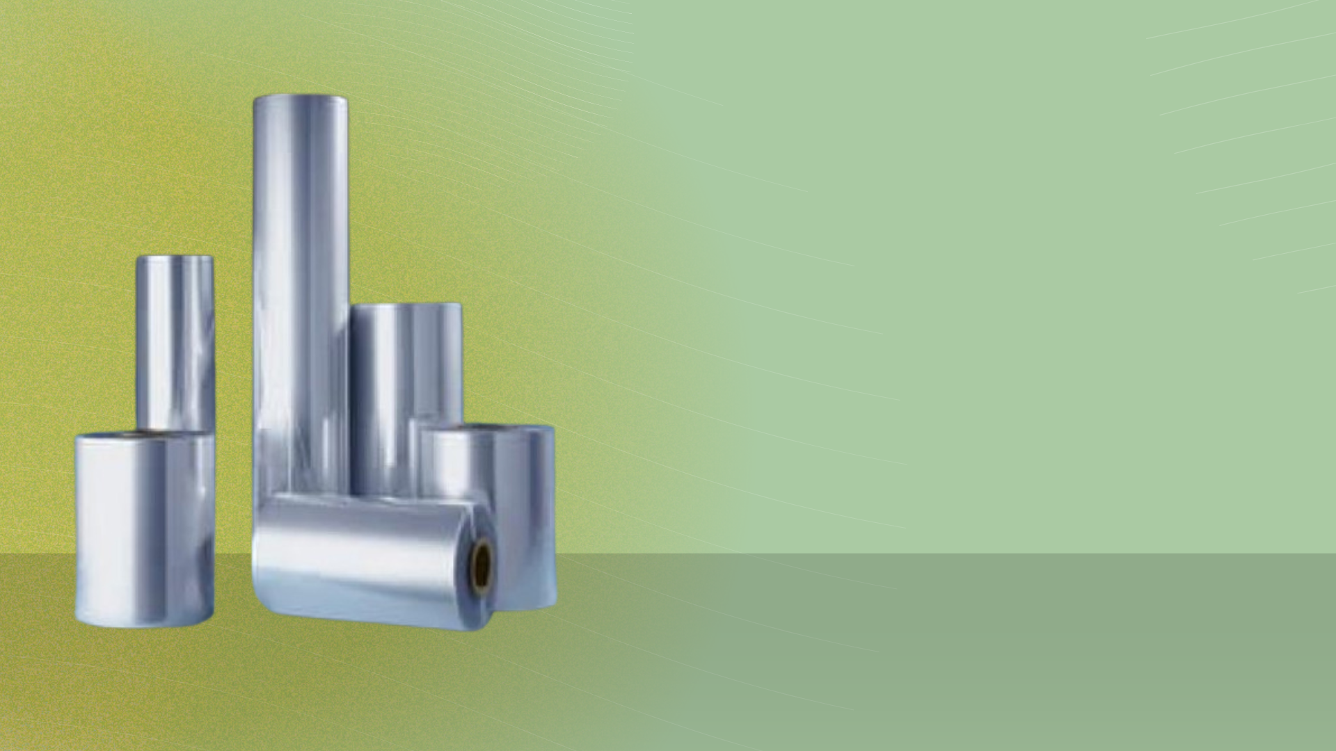 Shree Shyam Industries pvt. ltd